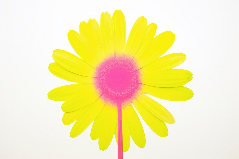 Daisy sunflower petal plant. AI generated Image by rawpixel.