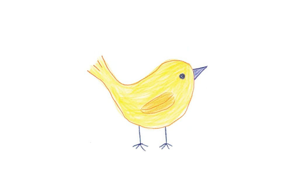 Bird drawing animal canary. AI generated Image by rawpixel.