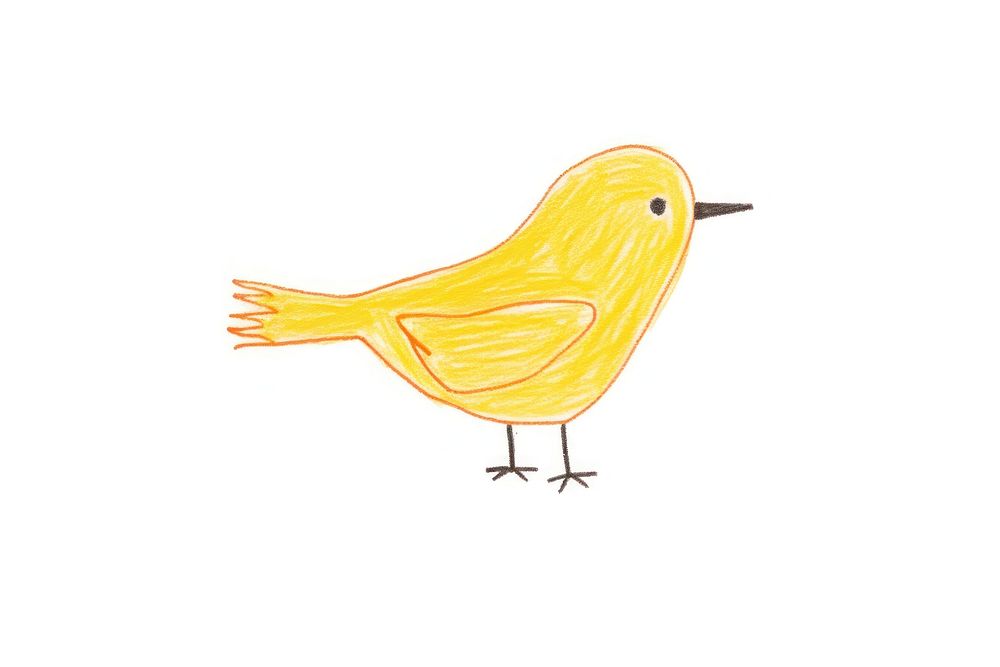Bird drawing animal canary. AI generated Image by rawpixel.