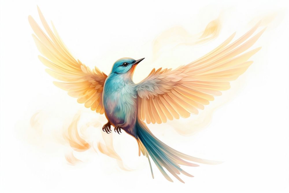 Bird flying animal hummingbird wildlife. AI generated Image by rawpixel.