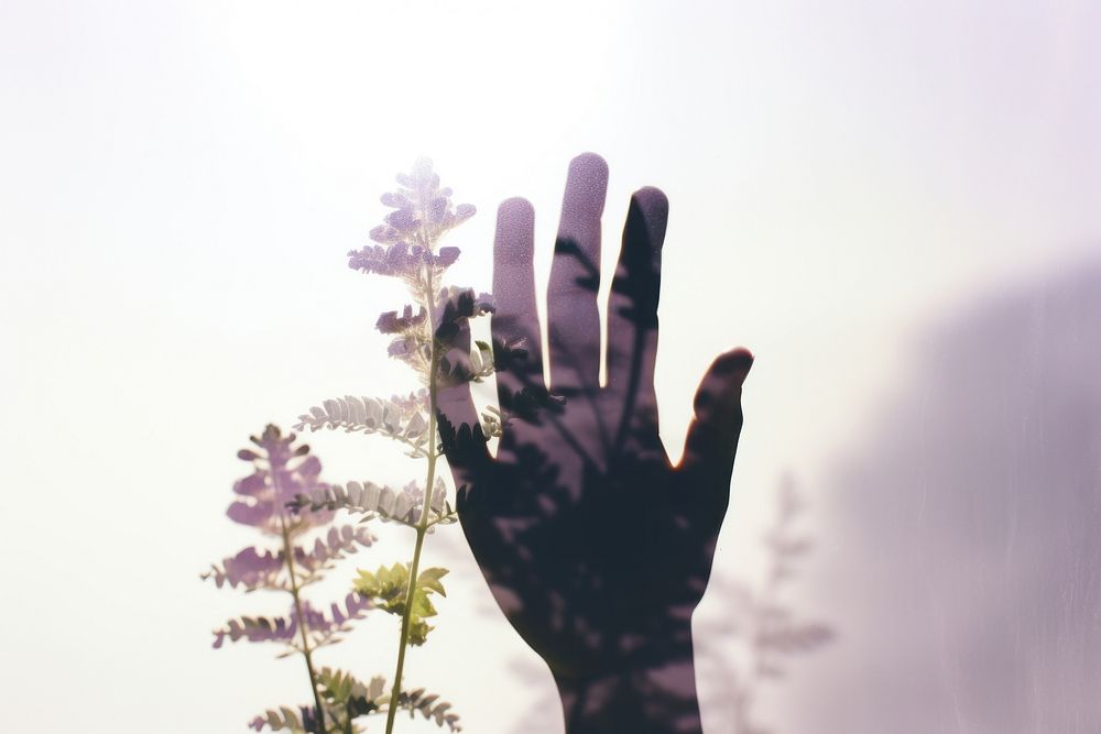 A hand holding plant outdoors nature flower. AI generated Image by rawpixel.