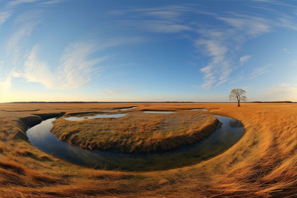 Savannah field landscape outdoors savanna. AI generated Image by rawpixel.