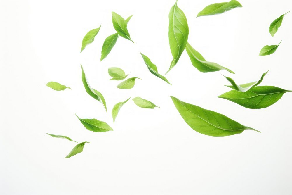 Green tea leaves flying in the air green backgrounds plant. AI generated Image by rawpixel.