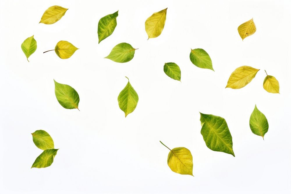 Green leaves floating in the air backgrounds plant green. AI generated Image by rawpixel.