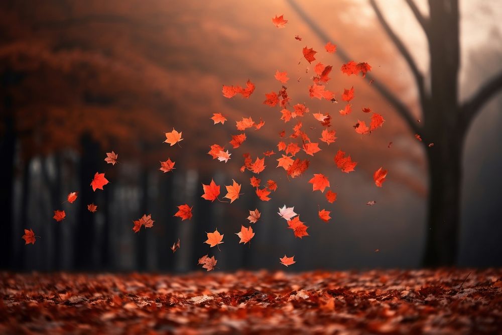Maple leaves falling autumn plant leaf. AI generated Image by rawpixel.