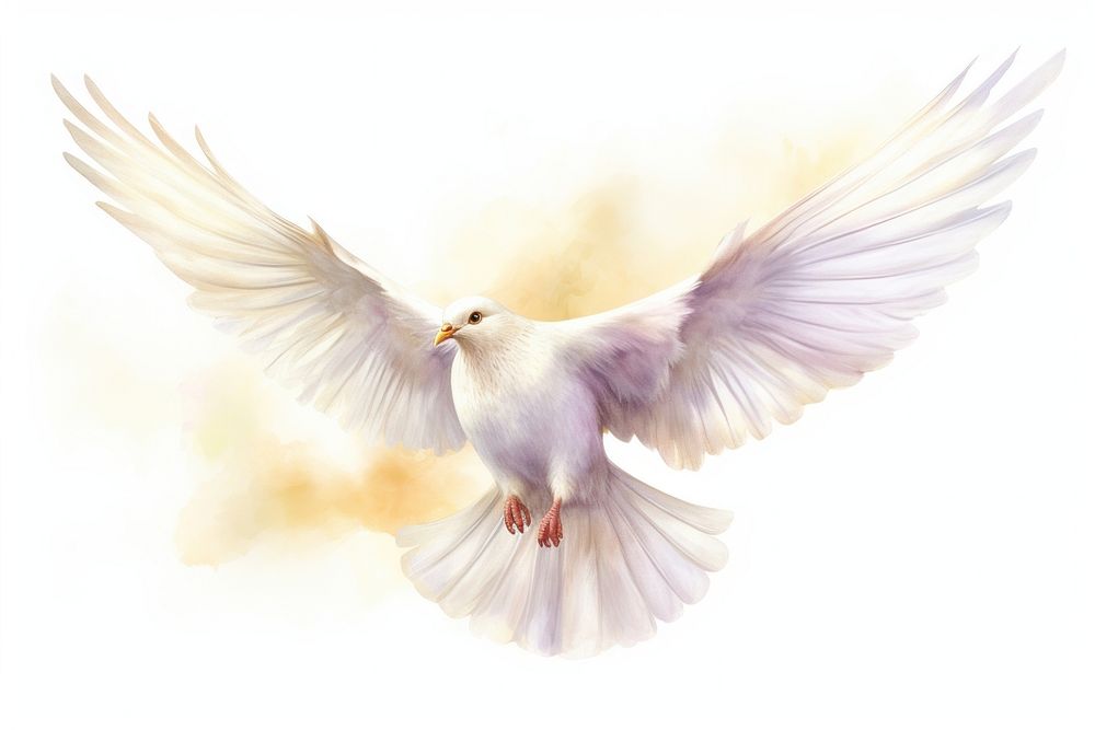White pigeon flying bird outdoors nature. AI generated Image by rawpixel.