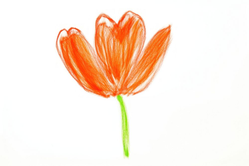 Tulip drawing flower petal. AI generated Image by rawpixel.