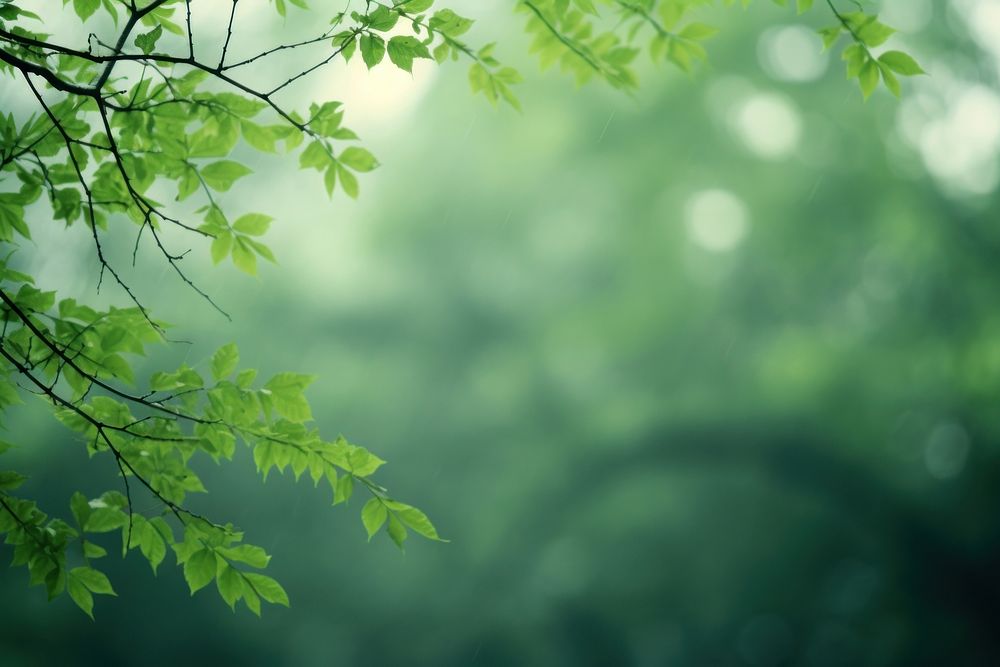 Tree background green backgrounds outdoors. AI generated Image by rawpixel.