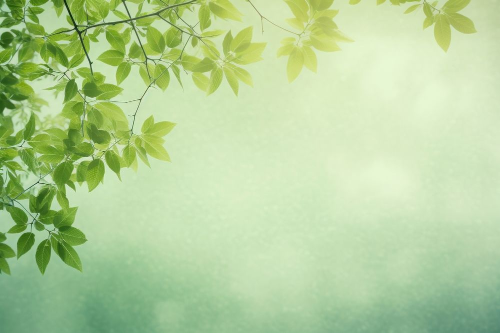 Tree background green backgrounds sunlight. AI generated Image by rawpixel.