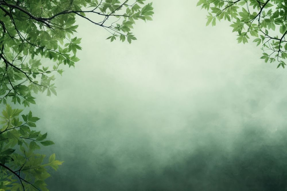Tree background green backgrounds outdoors. AI generated Image by rawpixel.