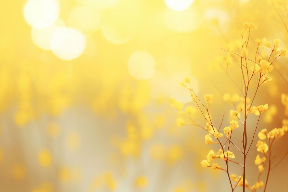 Yellow backgrounds sunlight outdoors. AI generated Image by rawpixel.
