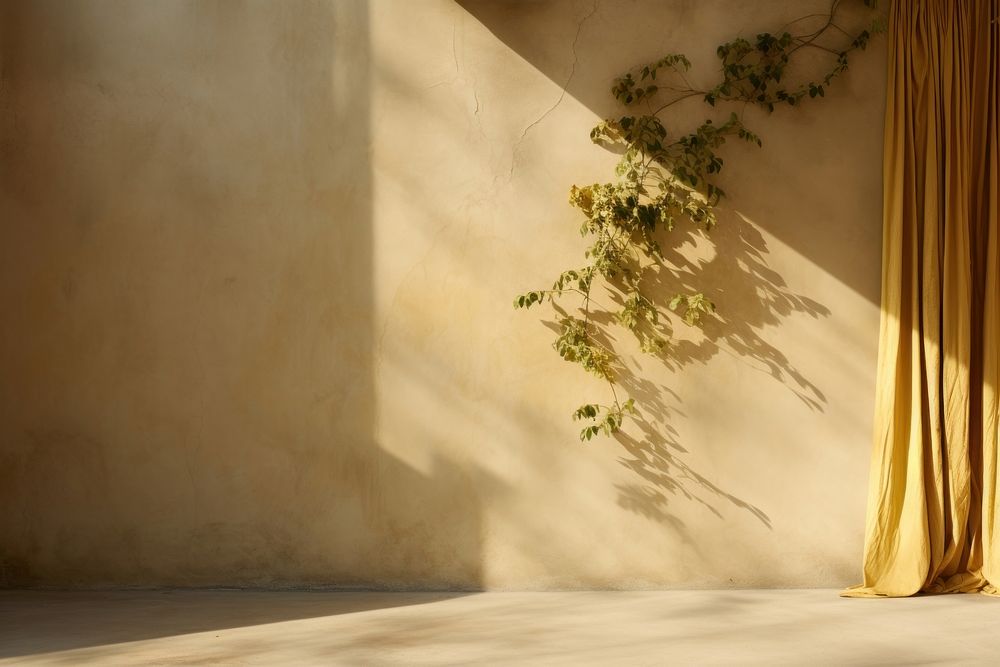 Organic curtain and plant shadow on cement wall architecture flooring sunlight. AI generated Image by rawpixel.