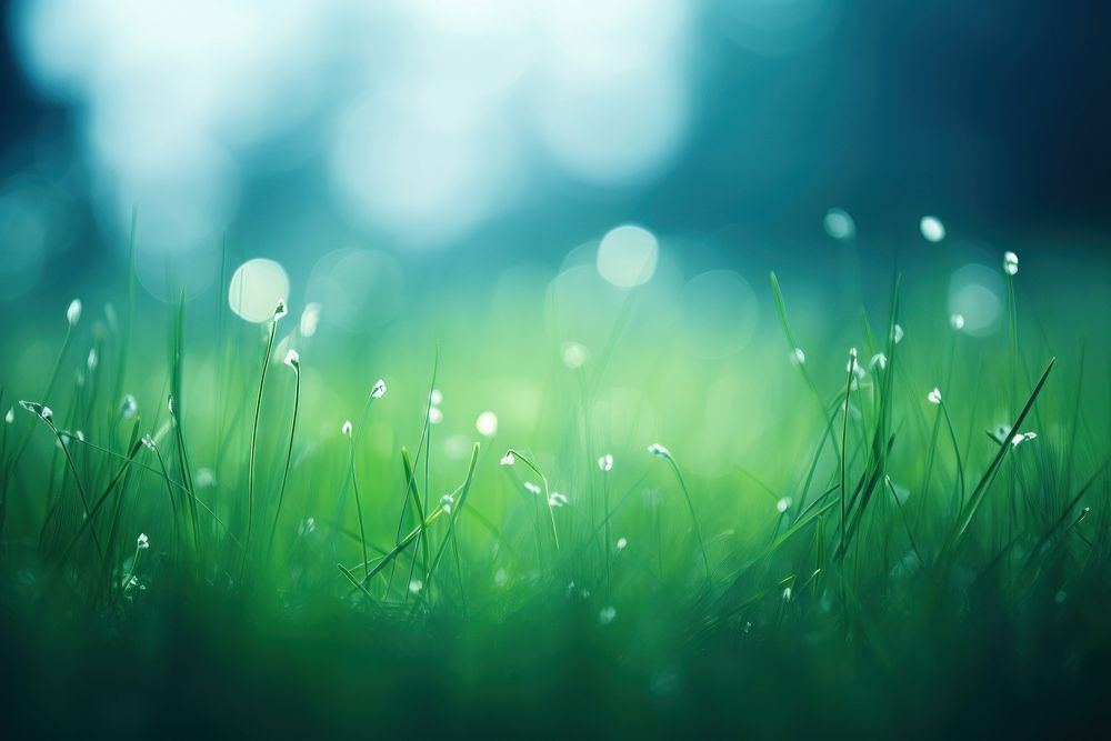 Grass grass backgrounds sunlight. AI generated Image by rawpixel.