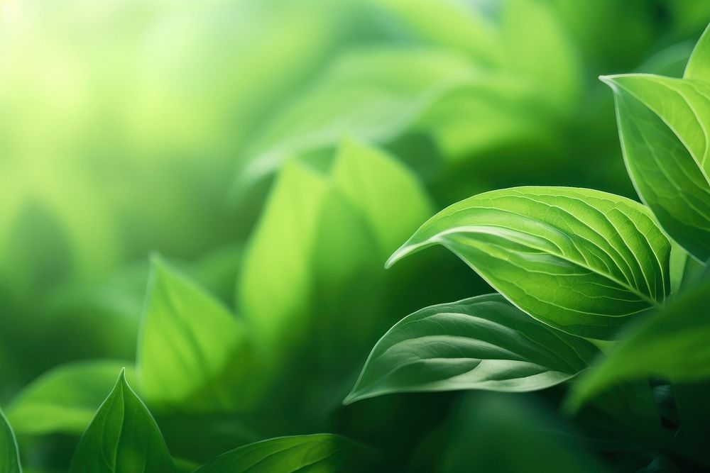 Green nature background backgrounds abstract plant. AI generated Image by rawpixel.