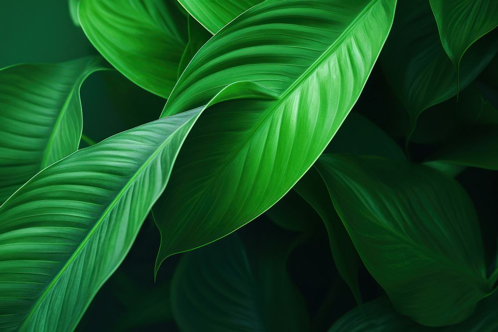 Green nature background backgrounds plant leaf. AI generated Image by rawpixel.