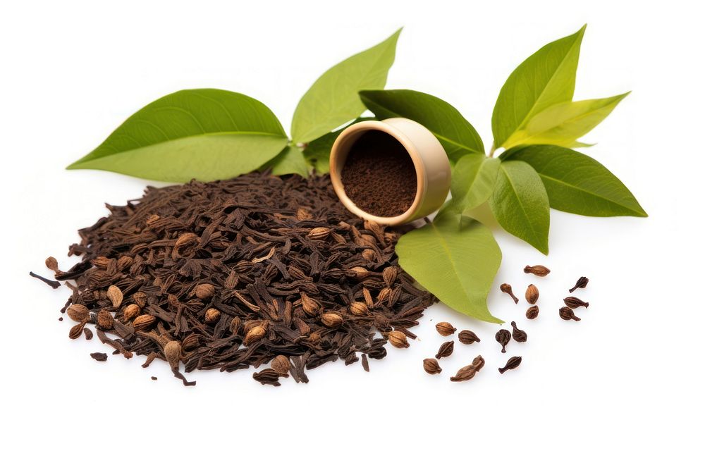 Fresh tea leaves and dry tea leaves spice plant white background. AI generated Image by rawpixel.