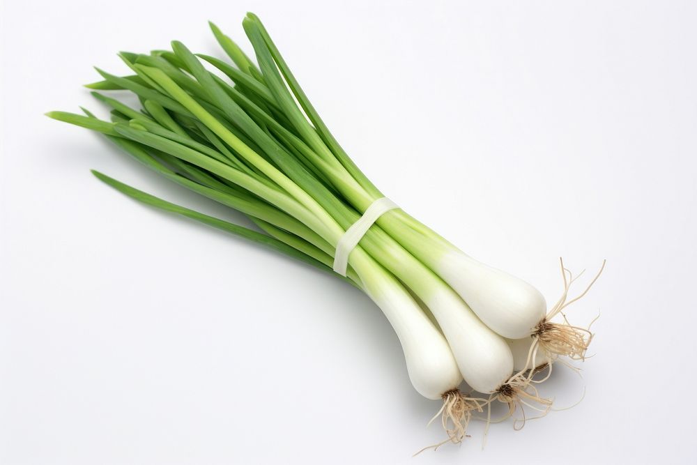 Single Japanese Scallion vegetable plant food. AI generated Image by rawpixel.