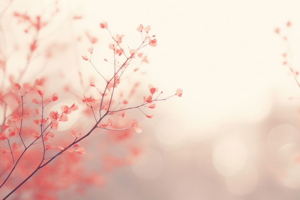 Red backgrounds outdoors blossom. AI generated Image by rawpixel.