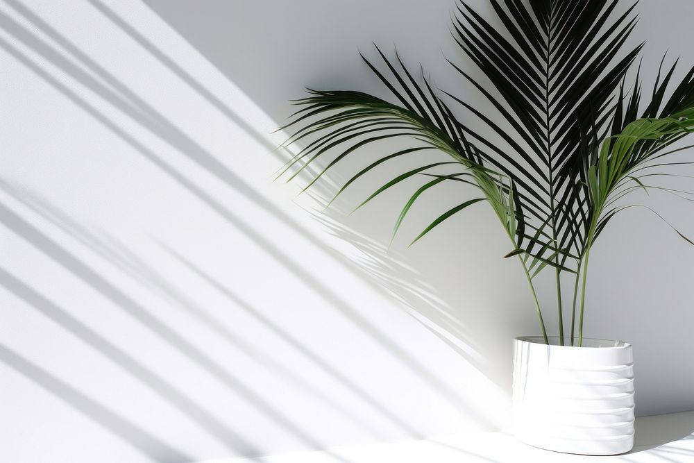 Palm leaves plant white vase. | Free Photo - rawpixel