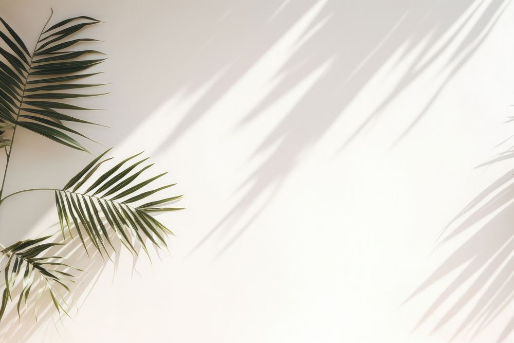 Palm leaves sunlight outdoors nature. AI generated Image by rawpixel.