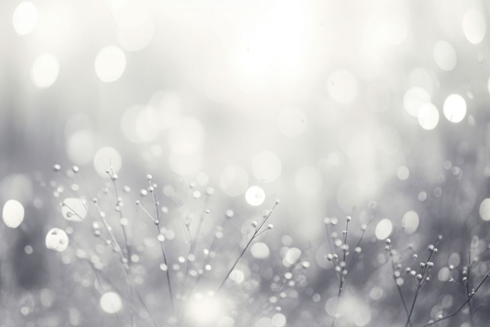 Silver backgrounds outdoors nature AI Free Photo rawpixel Silver backgrounds outdoors nature AI Free Photo rawpixel