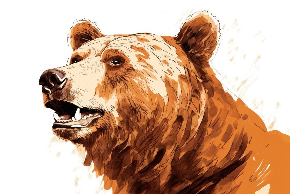 Bear bear drawing mammal. AI generated Image by rawpixel.
