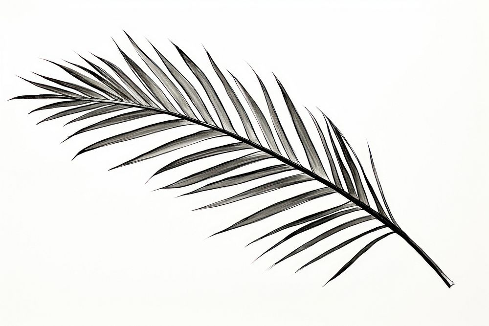 Palm leaves drawing plant leaf. AI generated Image by rawpixel.