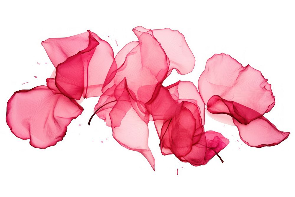Rose petals rose drawing plant. AI generated Image by rawpixel.