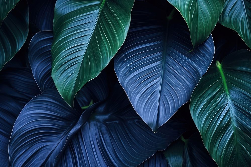 Background plant blue backgrounds. AI generated Image by rawpixel.