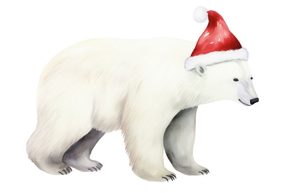 Polar bear wear christmas hat mammal animal white. AI generated Image by rawpixel.