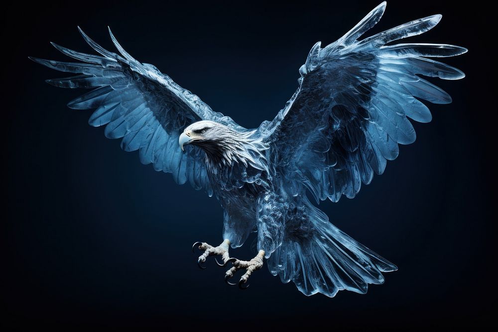 Eagle vulture animal eagle. AI generated Image by rawpixel.