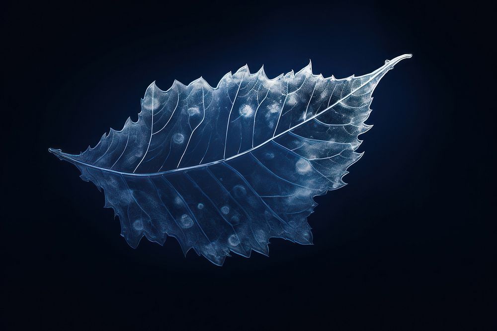 Leaf leaf blue nature. AI generated Image by rawpixel.