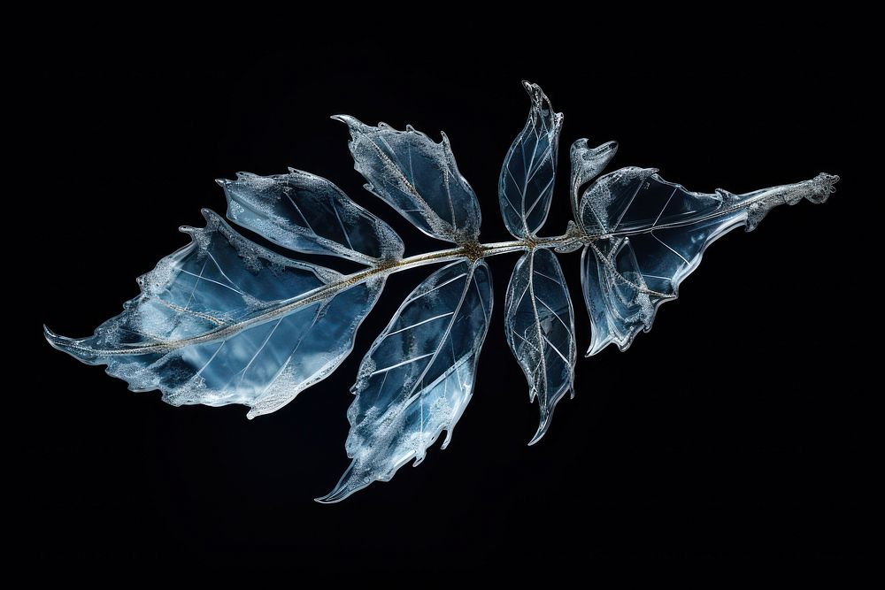 Leaf frost leaf ice. AI generated Image by rawpixel.