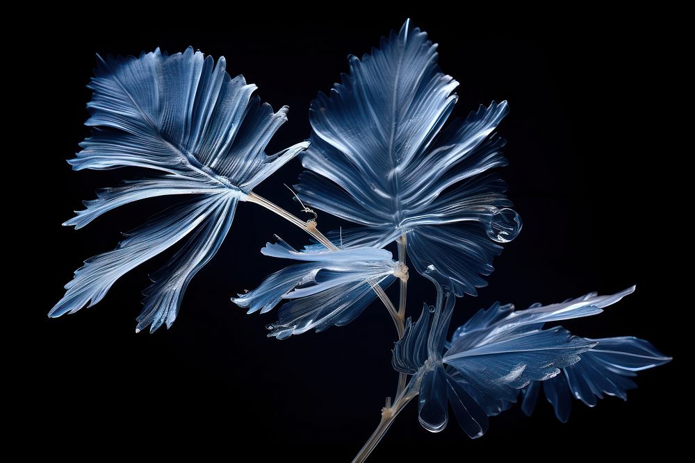 Palm leaves frost nature plant. AI generated Image by rawpixel.