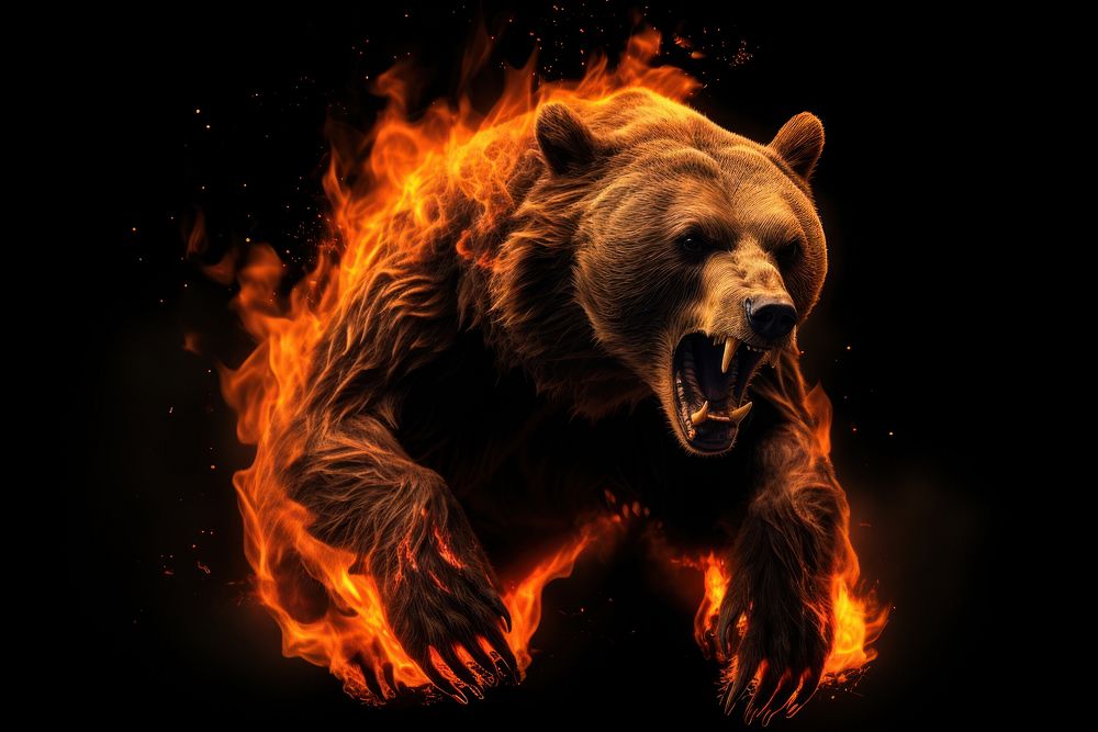 Bear full body bear fire burning. AI generated Image by rawpixel.