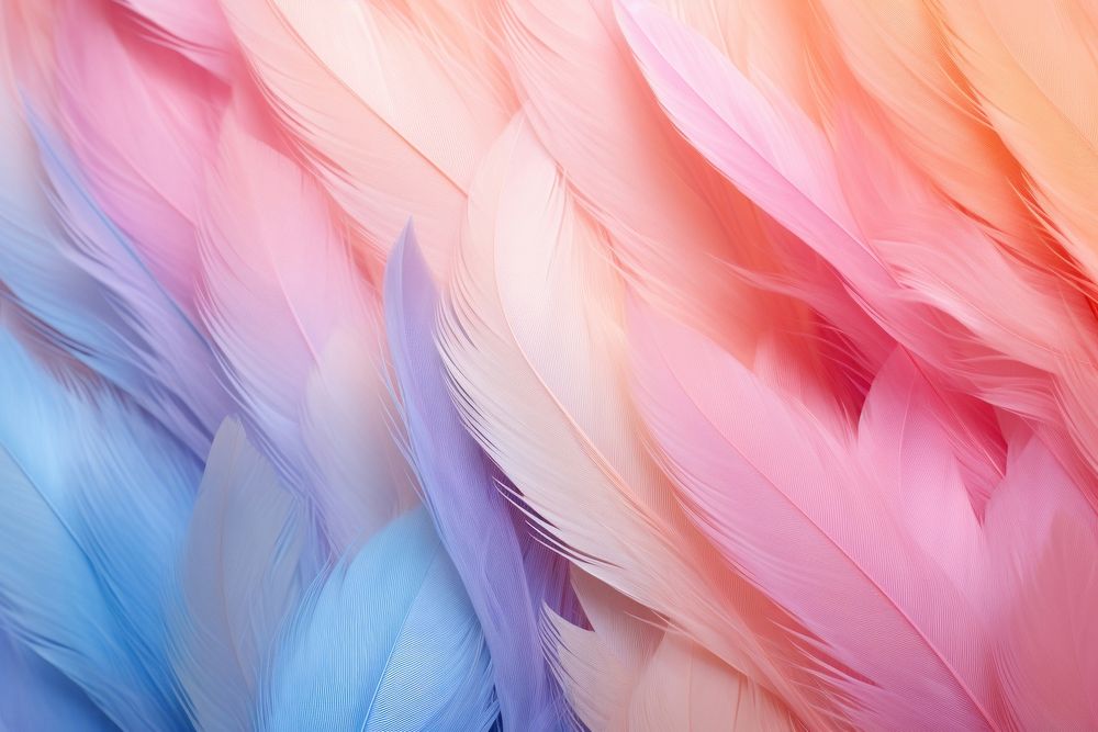 Feather backgrounds abstract bird. AI generated Image by rawpixel.