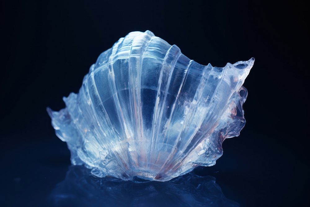 Shell translucent crystal mineral. AI generated Image by rawpixel.