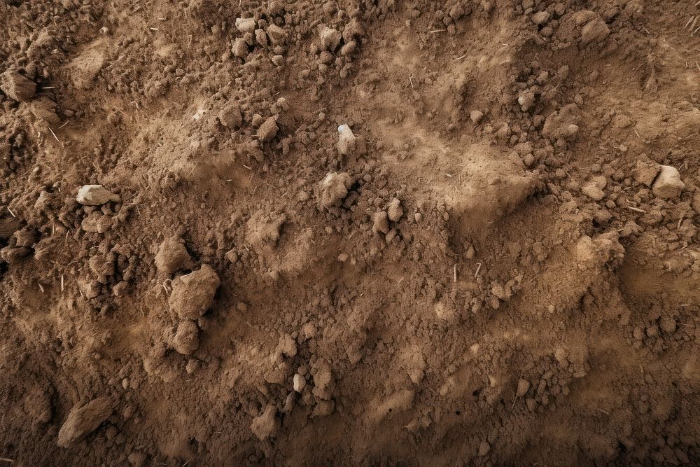 Fertile soil backgrounds textured outdoors. AI generated Image by rawpixel.