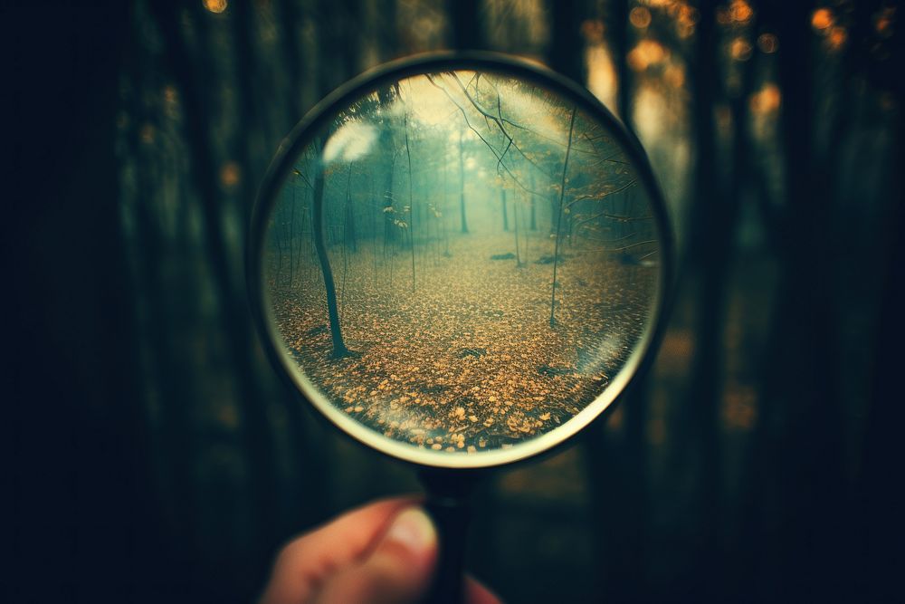 Magnifying glass photography outdoors woodland. | Free Photo - rawpixel
