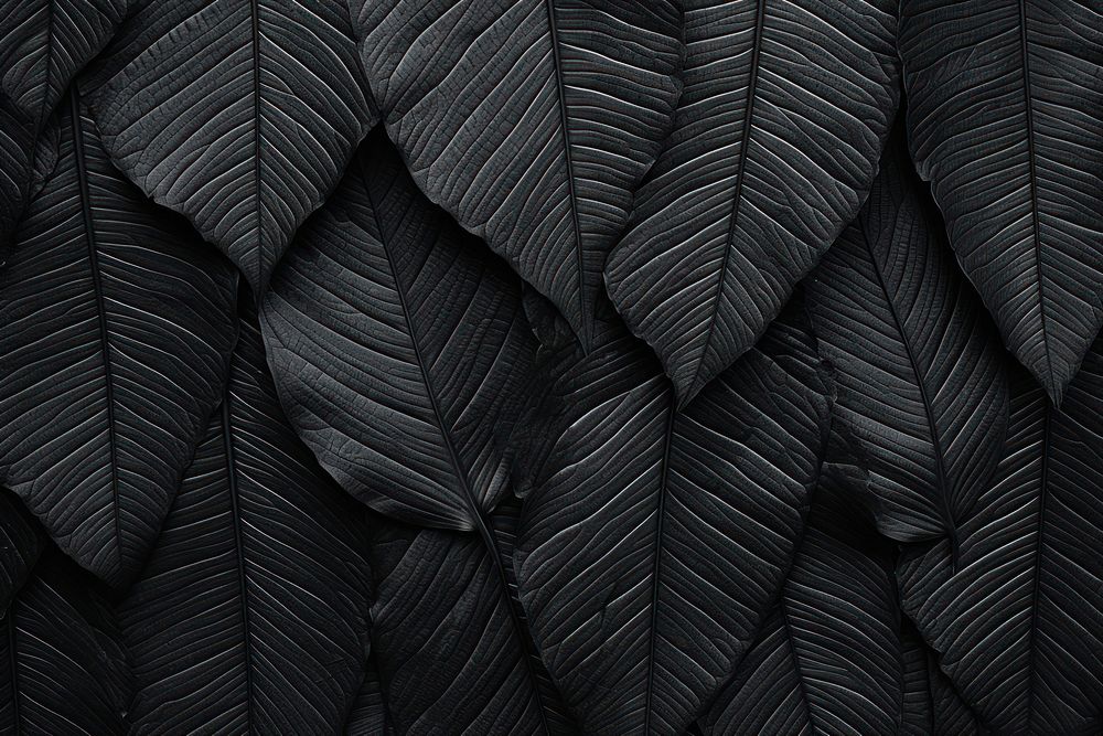 Leaf texture black backgrounds monochrome. AI generated Image by rawpixel.