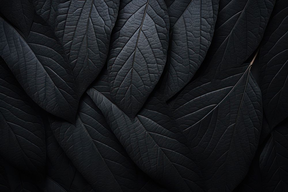 Leaf texture black backgrounds monochrome. AI generated Image by rawpixel.