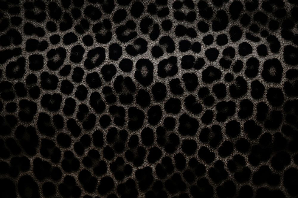 Leopard texture black backgrounds monochrome. AI generated Image by rawpixel.