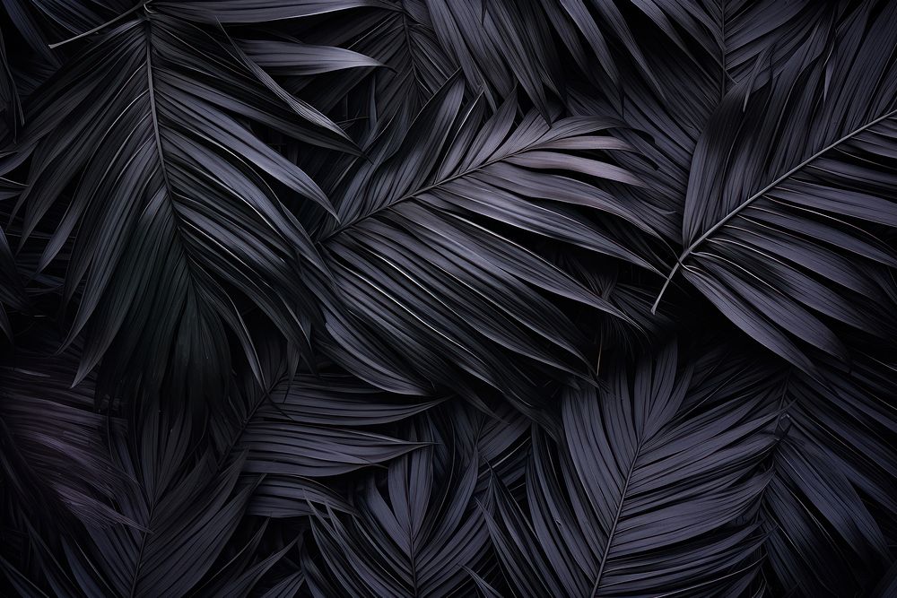 Palm leaves black backgrounds monochrome. AI generated Image by rawpixel.
