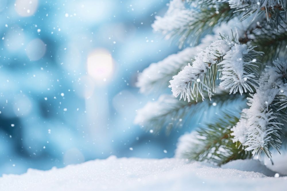 Close-up christmas tree snow backgrounds outdoors. AI generated Image by rawpixel.