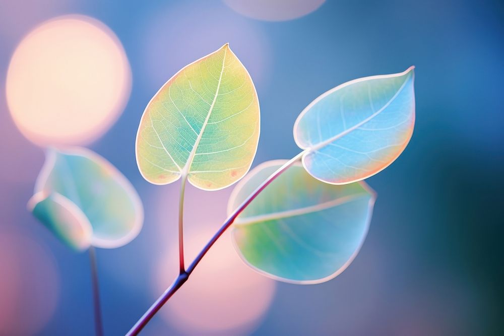 Eucalyptus leaf outdoors nature plant. AI generated Image by rawpixel.