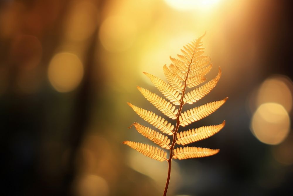 Fern leaf sunlight autumn plant. AI generated Image by rawpixel.