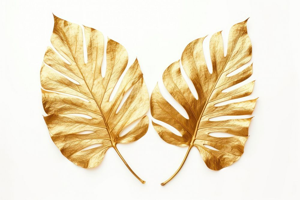 Monstera leave plant leaf gold. AI generated Image by rawpixel.