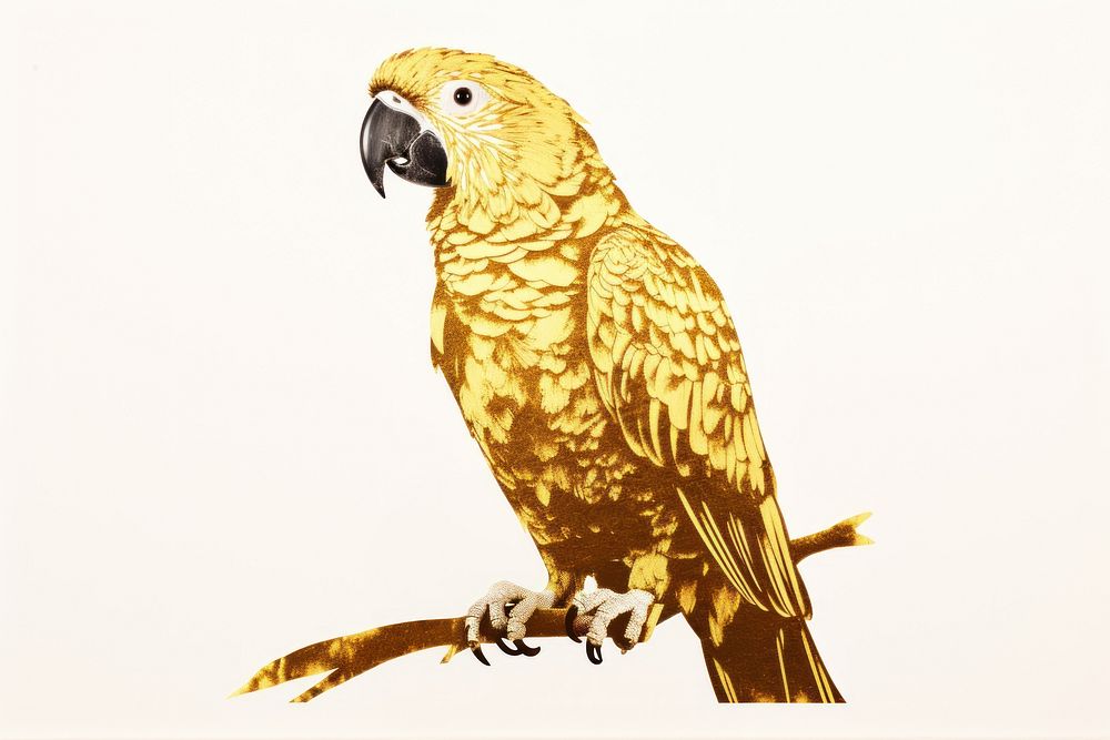 Parrot animal bird beak. AI generated Image by rawpixel.