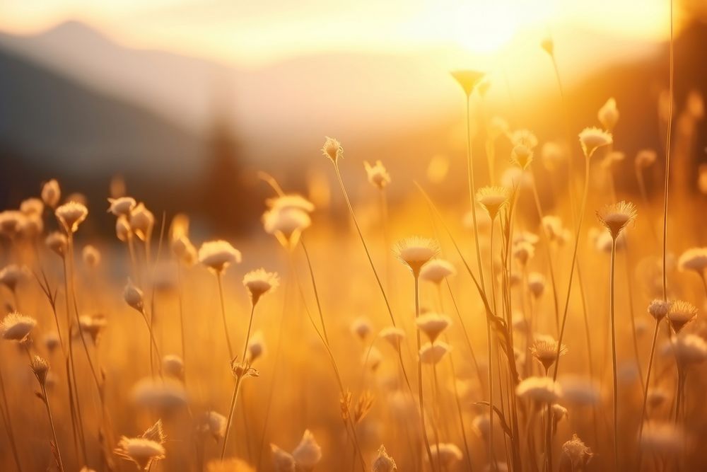 Yellow flowers and grass meadow landscape field sun. AI generated Image by rawpixel.