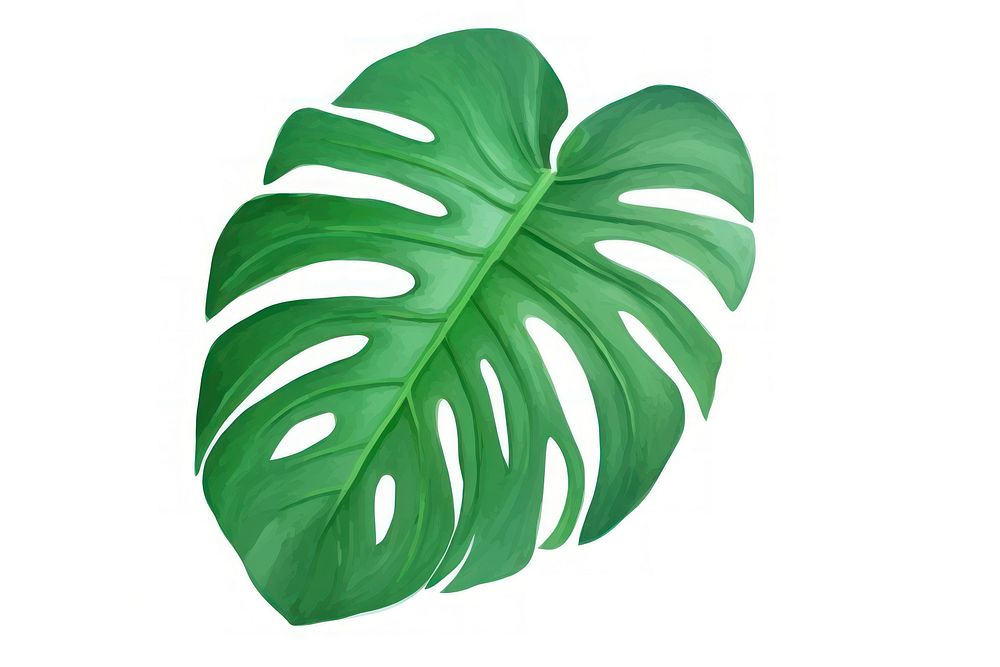 Tropical plant leaf white background xanthosoma. AI generated Image by rawpixel.